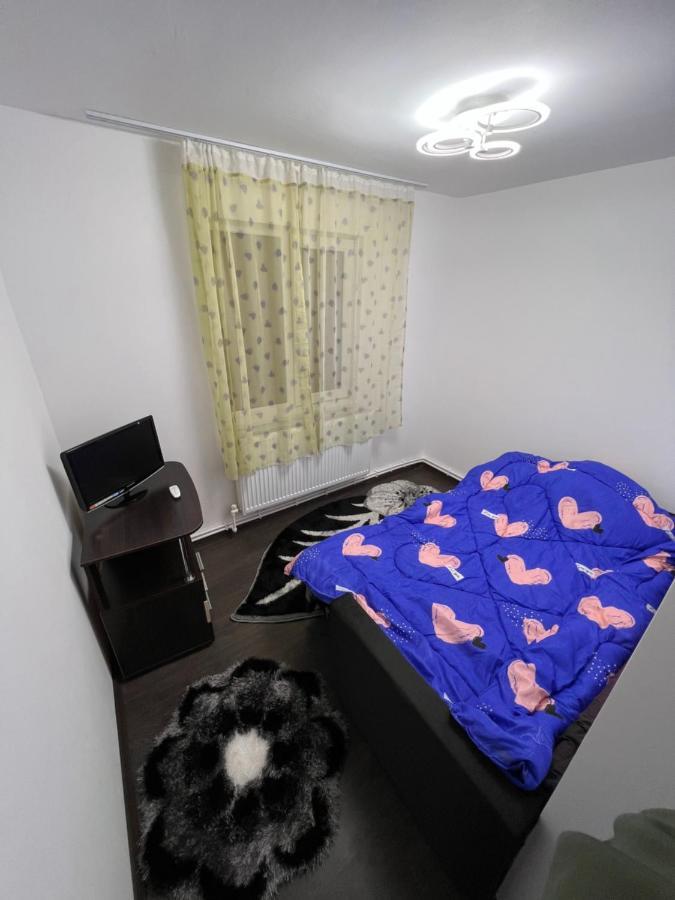 Ferienwohnung Jas Apartament Lupeni  Exterior foto